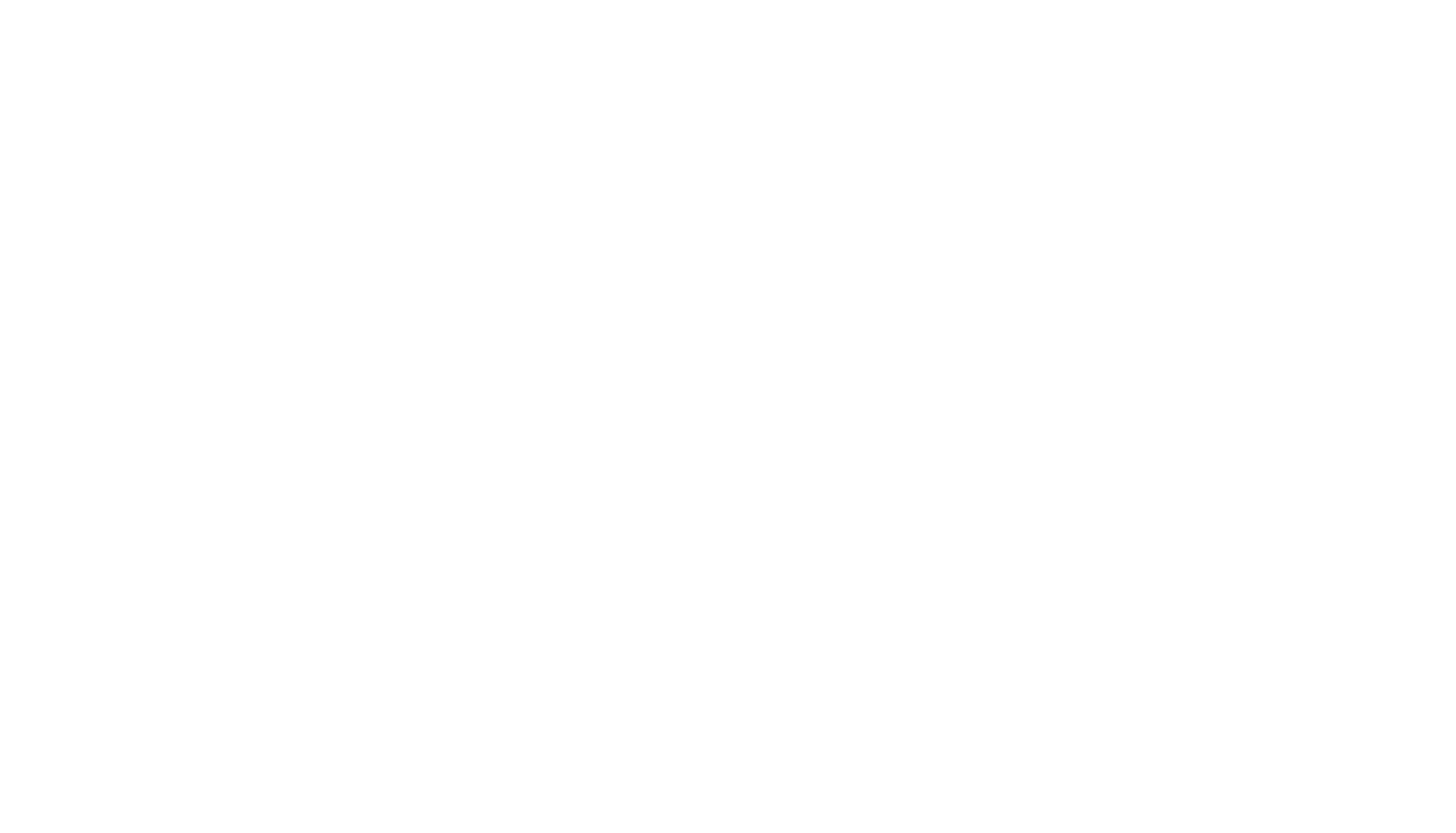 parkagic logo